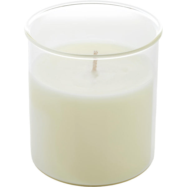 CELESTE FIG & MELON by Northern Lights (UNISEX) - ESQUE CANDLE INSERT 9 OZ