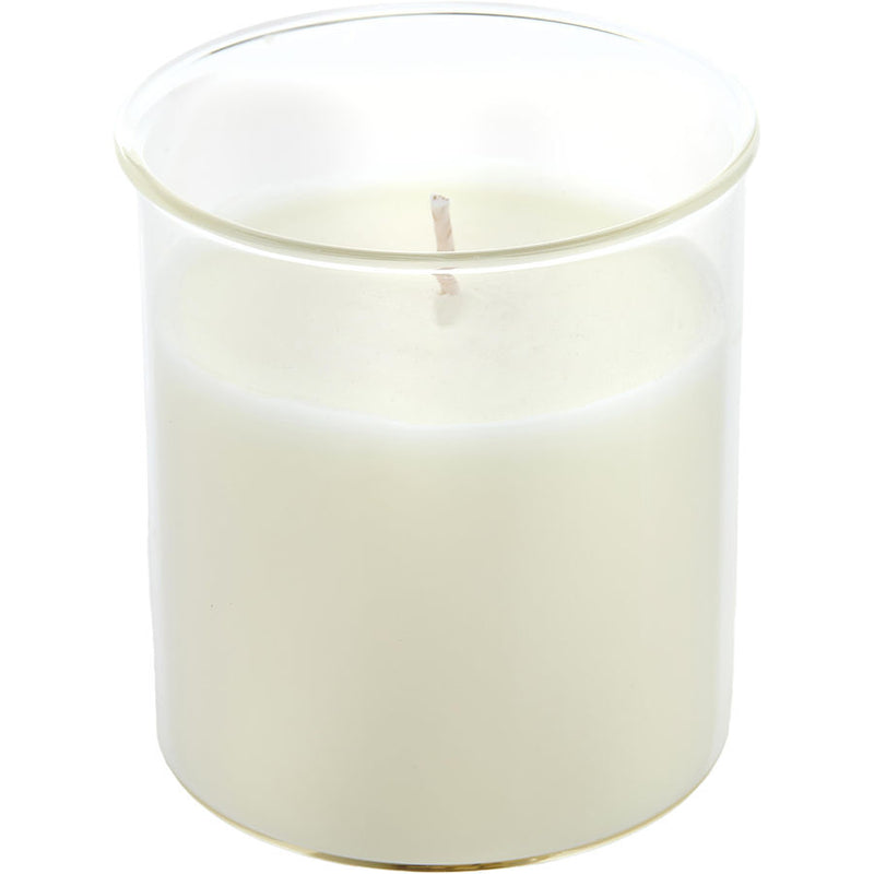 SANDALWOOD & PATCHOULI by Northern Lights (UNISEX) - ESQUE CANDLE INSERT 9 OZ